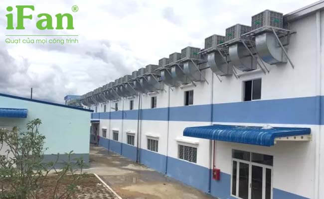 Lợi ích môi trường khi dùng hệ thống làm mát bằng cooling pad