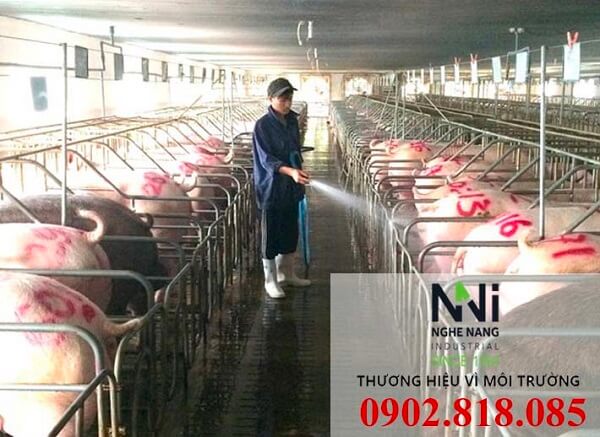 Giải pháp thông gió làm mát trang trại bằng quạt hút công nghiệp