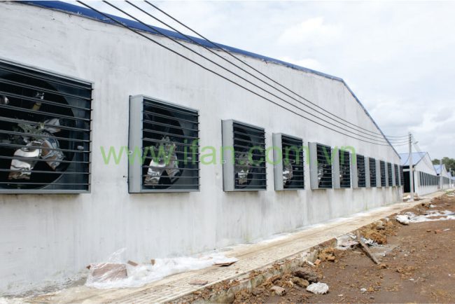 Quạt thông gió công nghiệp – lựa chọn số 1 cho nhà xưởng