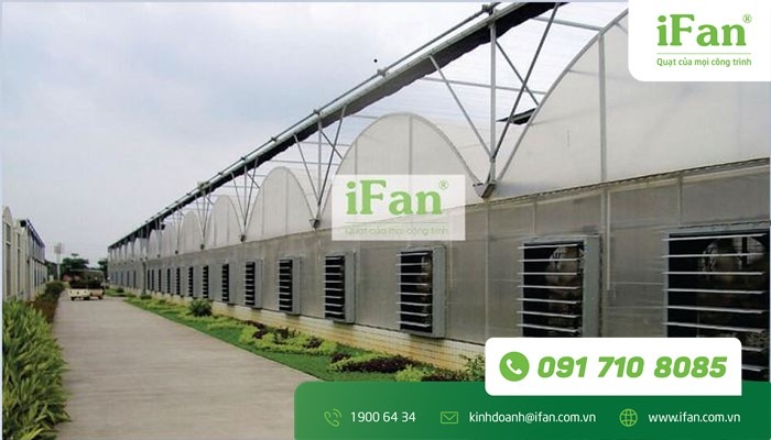 Quạt thông gió công nghiệp – lựa chọn số 1 cho nhà xưởng