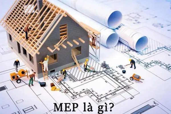 MEP là gì